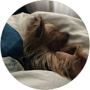 Bo B. profile picture